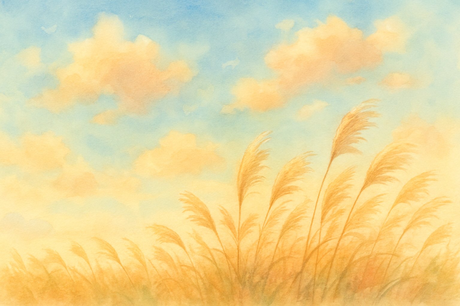 秋の空とすすき、9月の季節感を表す穏やかな風景のイメージ